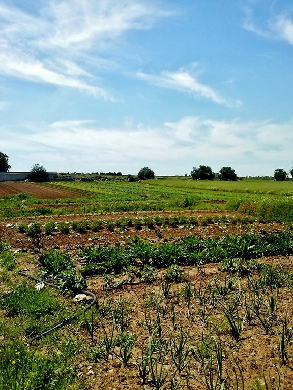 Masseria La Lizza - Ospitalita Rurale Lecce Zewnętrze zdjęcie
